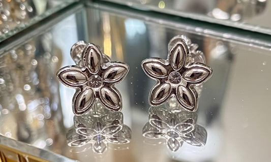 AMB Beautiful Silver Earrings