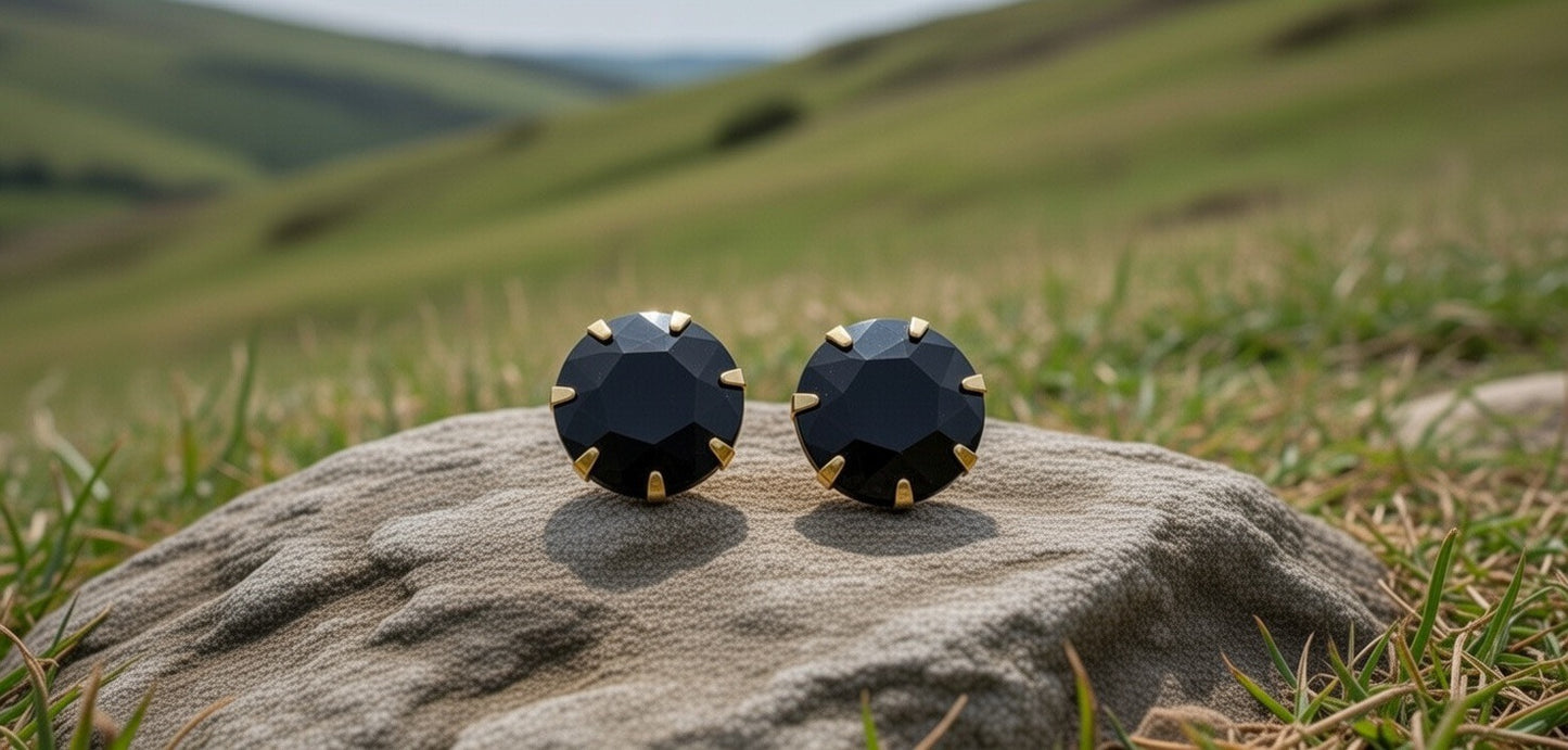 AMB Black Earrings