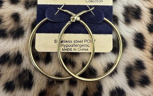 AMB Elegant Earrings